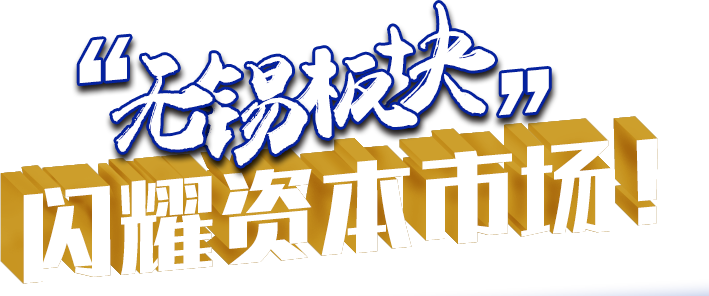 “無錫板塊”閃耀資本市場